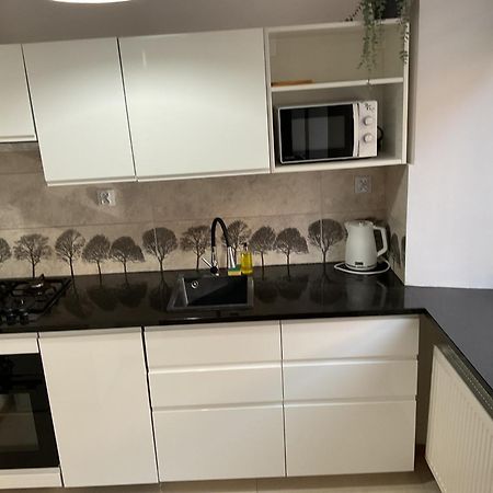 Omorika Na Zamkowej Cracóvia Exterior foto