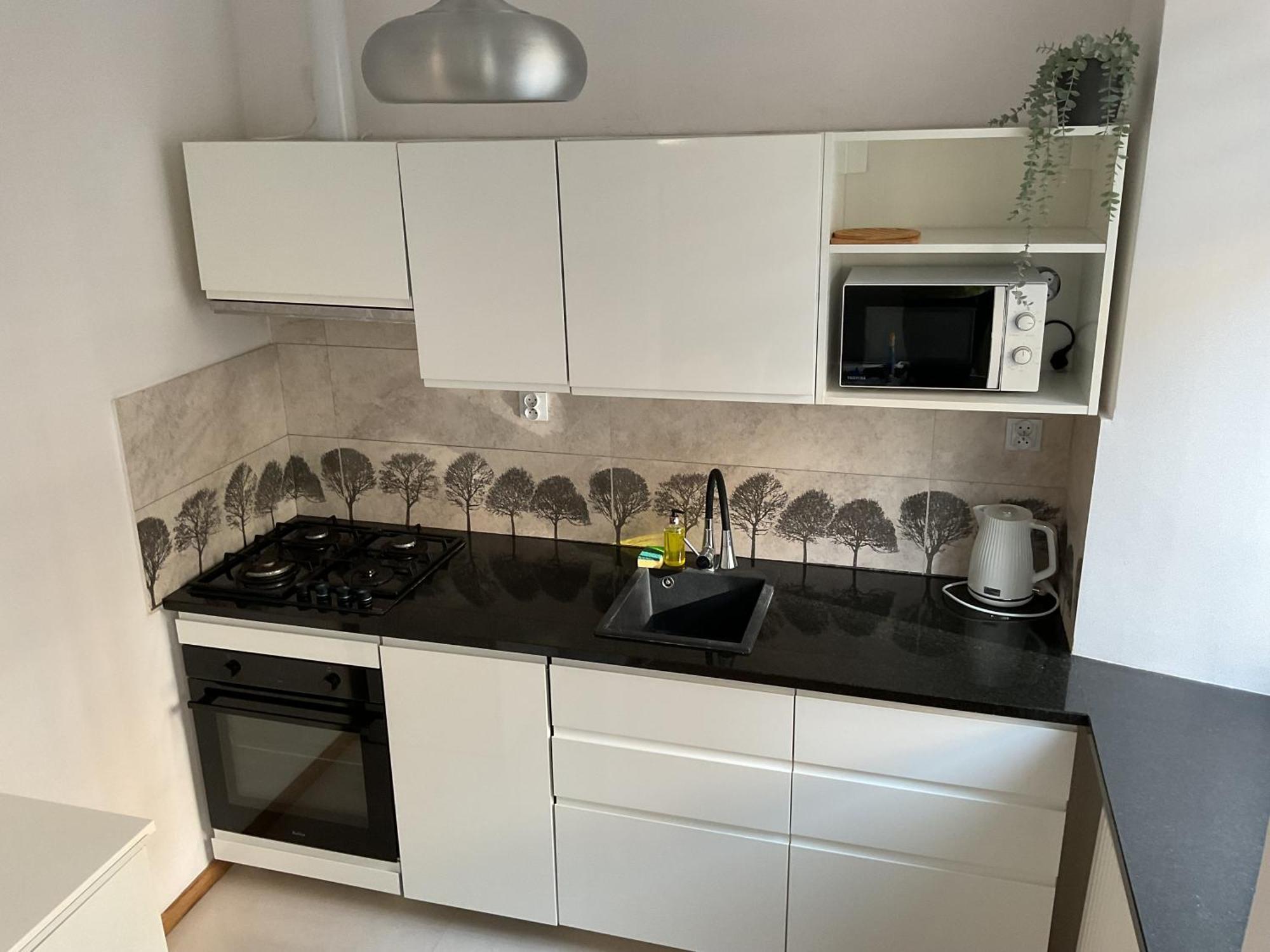 Omorika Na Zamkowej Cracóvia Exterior foto