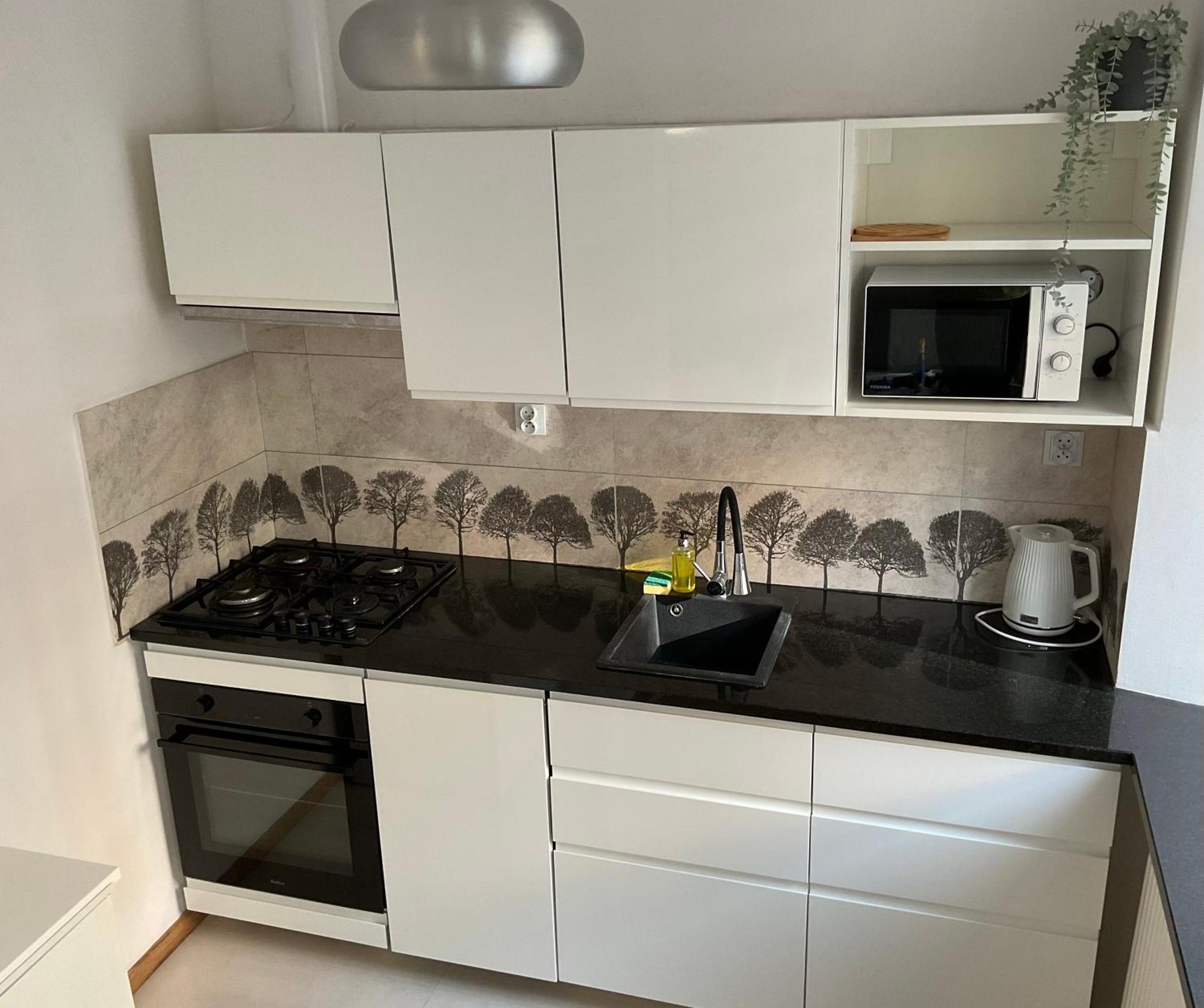 Omorika Na Zamkowej Cracóvia Exterior foto